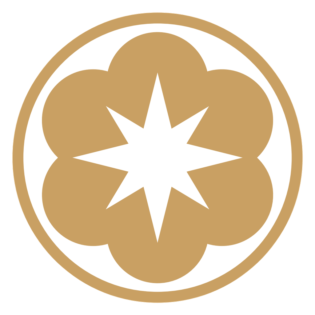 辰星商務中心 Morning Stars Logo
